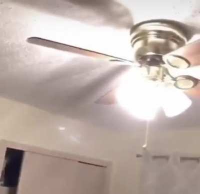 Fucked up