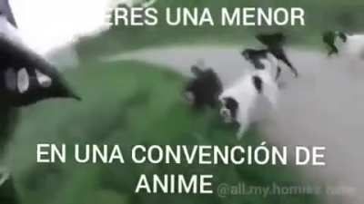 anime anime oni chan