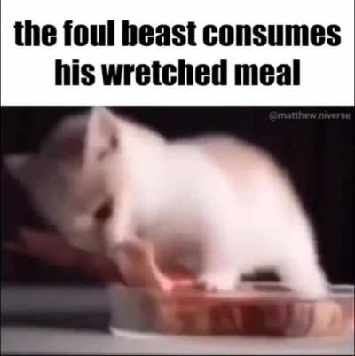 rules