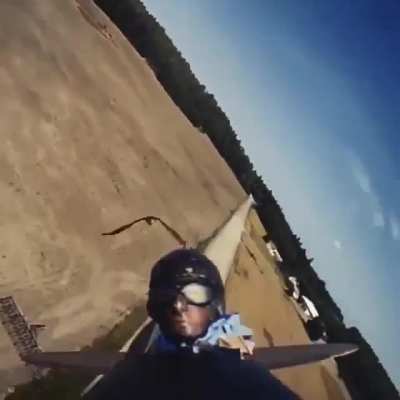 A raptor attacking and decapitating an RC "pilot"