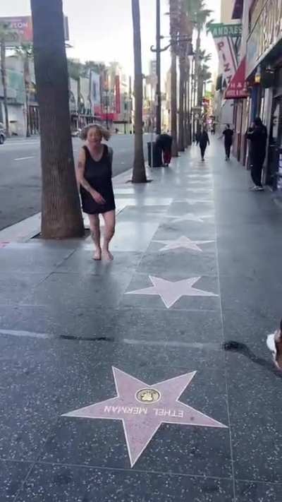 Normal day in Hollywood