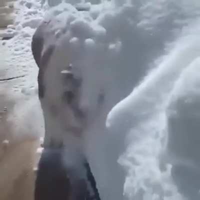 BullDog Loves Snow☃️☃️⛄