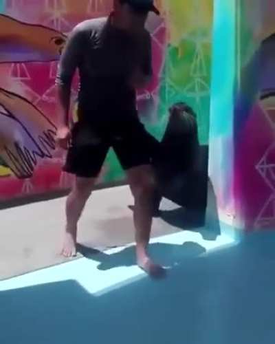 Seal pranks man by scaring him when he&rsquo;s asleep