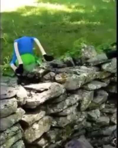 Insane backflip!!!11!1!1!