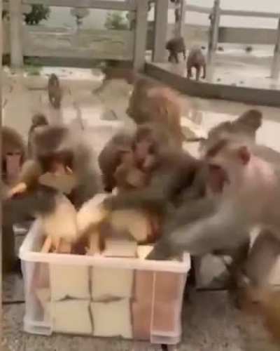 My teammates soon as the supply drop arrives
