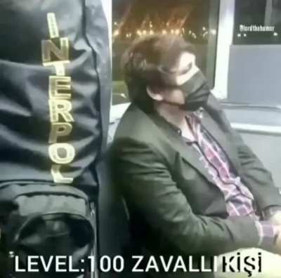 Hızlı koşan atın boku seyrek d&uuml;şer