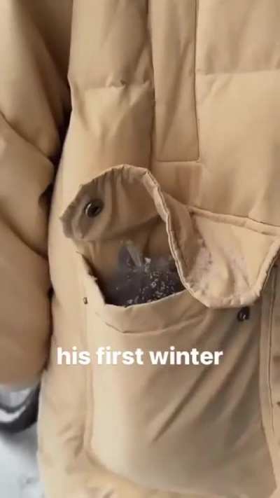 First winter