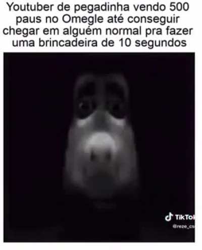 O zoio
