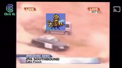 Queen Bee.exe