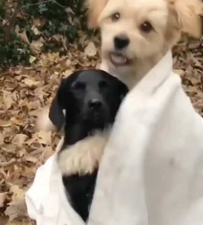 Любовь это...