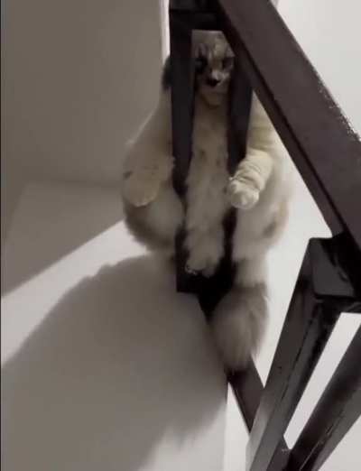 Are you comfortable mate ?