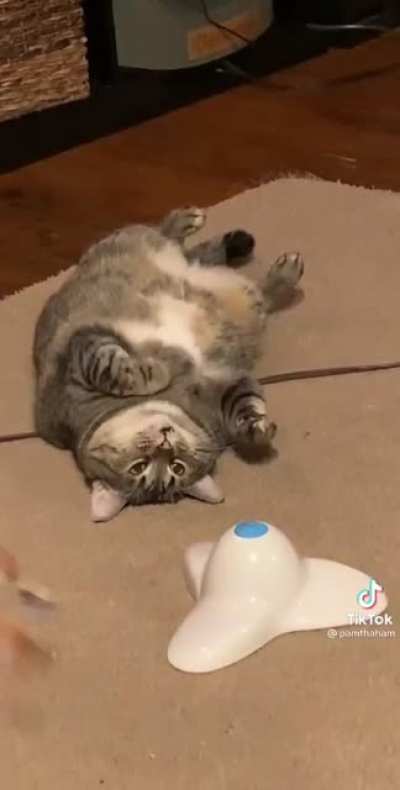 El streamer favorito de Wilson