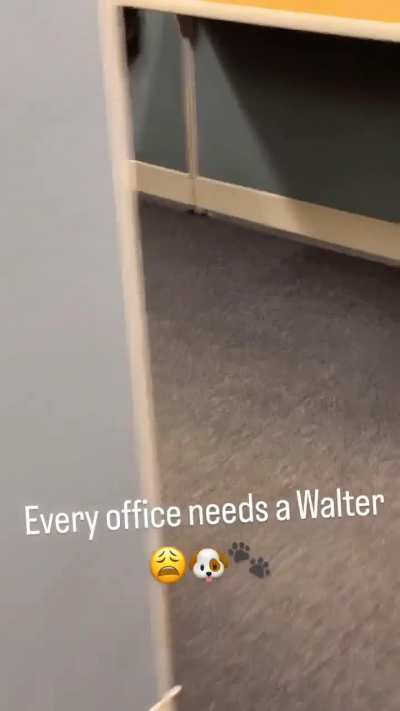 Walter,o melhor funcion&aacute;rio 