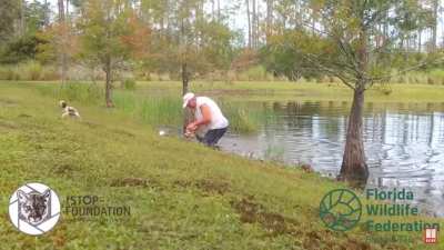 Florida man saves dog from alligator and doesn&rsquo;t even drop his cigar.