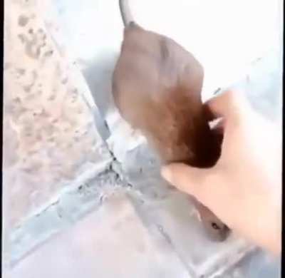 :&amp;gt;