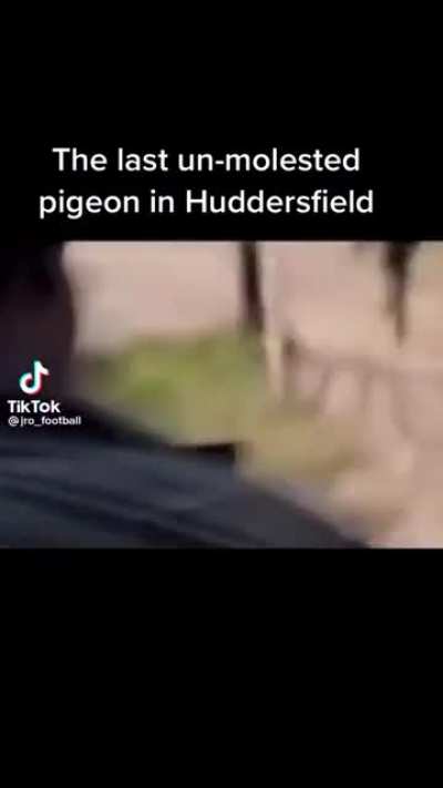 It&rsquo;s a hard world out there int &lsquo;uddersfield