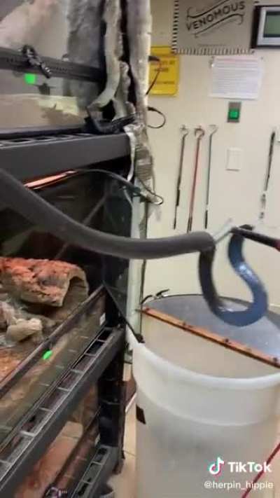 El Diablo