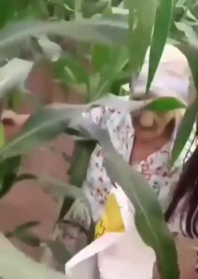 Vov&oacute; vida loka