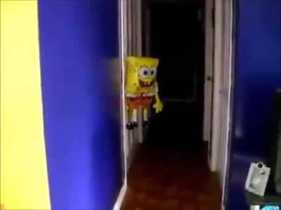 Moldy Spunchbob