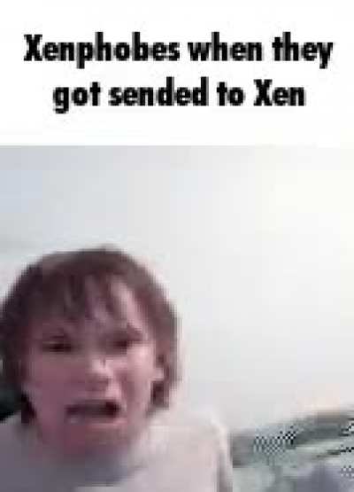 half litefs 1 endinge