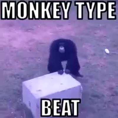 monkey on da' beat ☠️🦍🔥