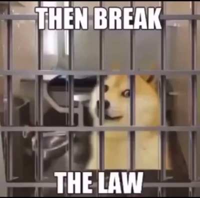 just read rule one so take this random video