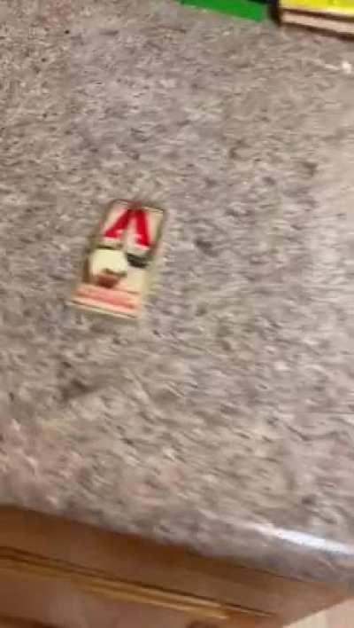 Oh boy cheese