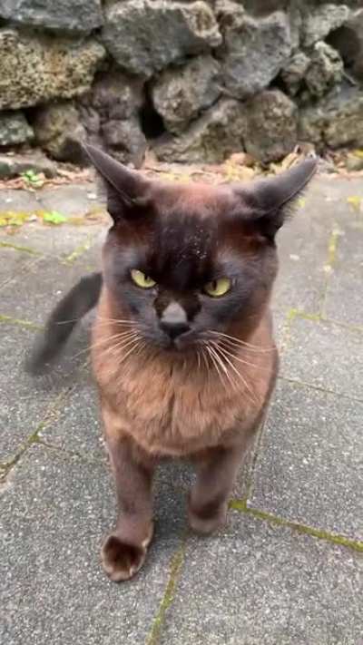 Bruce was not in a good mood.