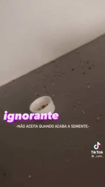 Conheça ele