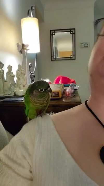 The head roll