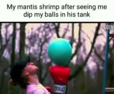 Oh... ow