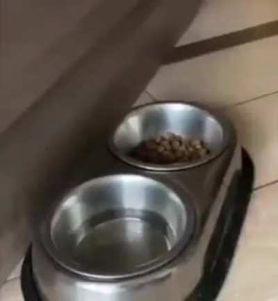 Nice throw
