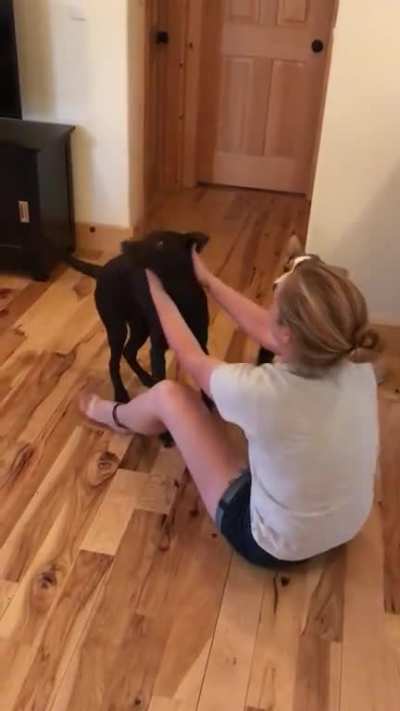 talking to my dog