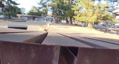 Don&rsquo;t Look Behind You