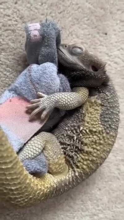 "Literally" fuck this sock in particular 