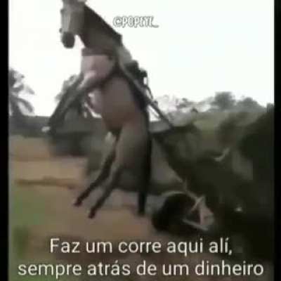 VACALO