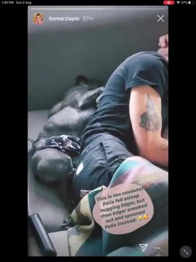 edgar is not felix&rsquo;s dog, felix is edgar&rsquo;s human