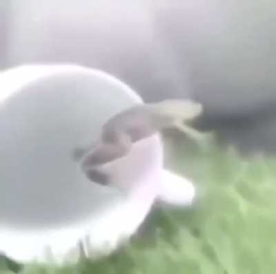 SquarePosting - Video #5154