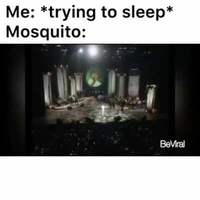Mosquito