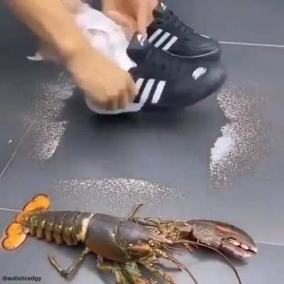 Rule