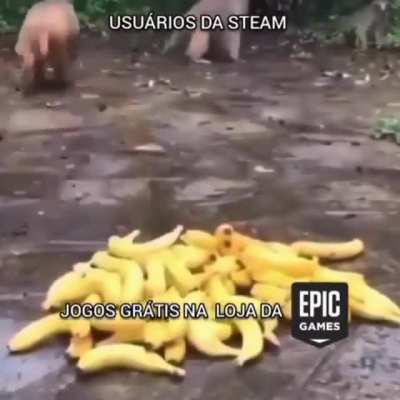 Snk ta pika