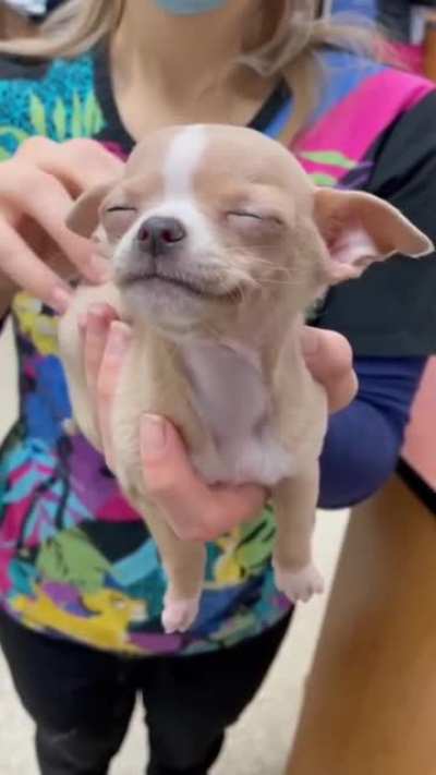 Ah yeah! That&rsquo;s the spot right there