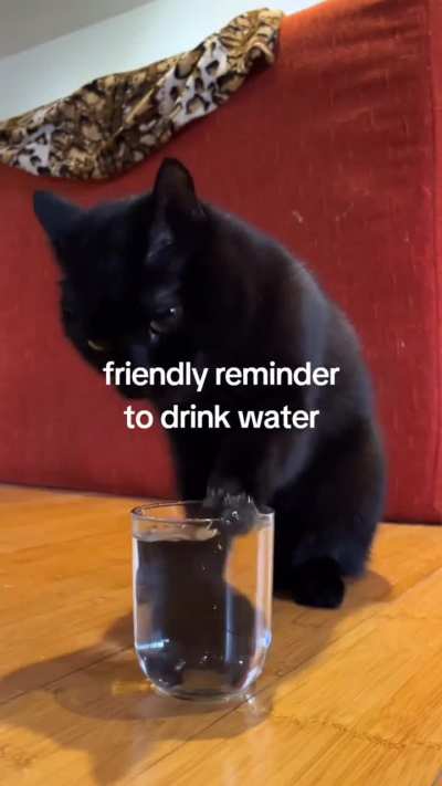 Here&rsquo;s your reminder