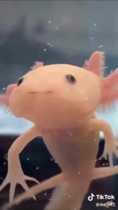 He&rsquo;s coming