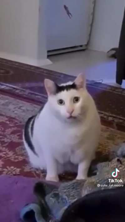 😳