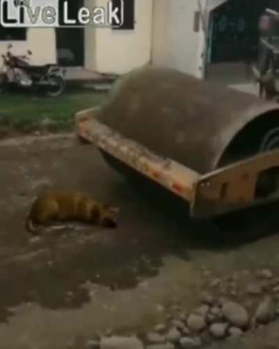 Blind Driver