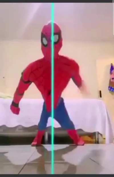 Does whatever a spider can