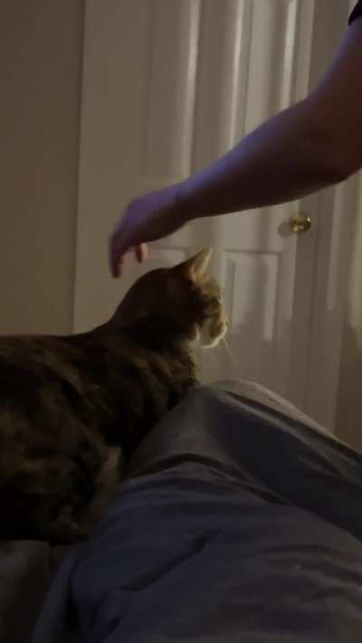 Trying to move her at the end of the night when she&rsquo;s comfy.