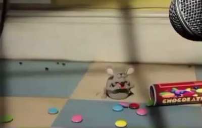 ‏‏‎