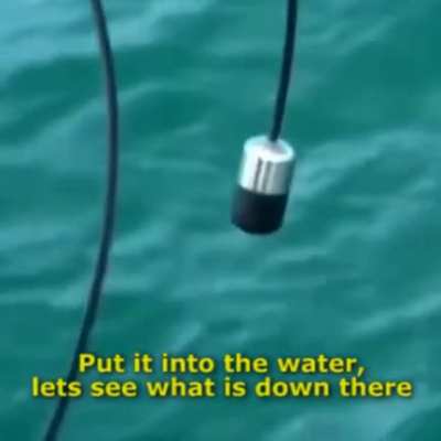 Hydrophone